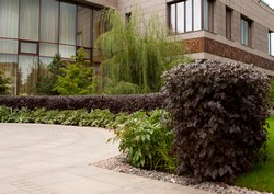 Идеи ландшафтного дизайна дачного участка