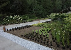 Озеленение москва