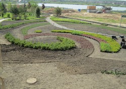 Озеленение территории