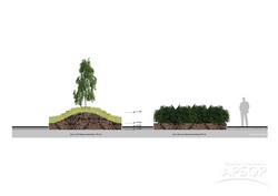 Заказать ландшафтный дизайн