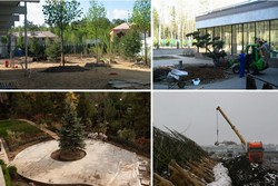 Уход за ландшафтом