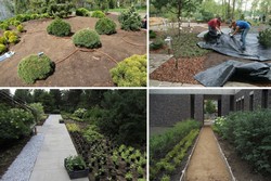 Уход за ландшафтным дизайном